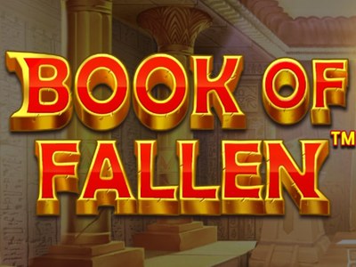 Игровой аппарат Book of Fallen